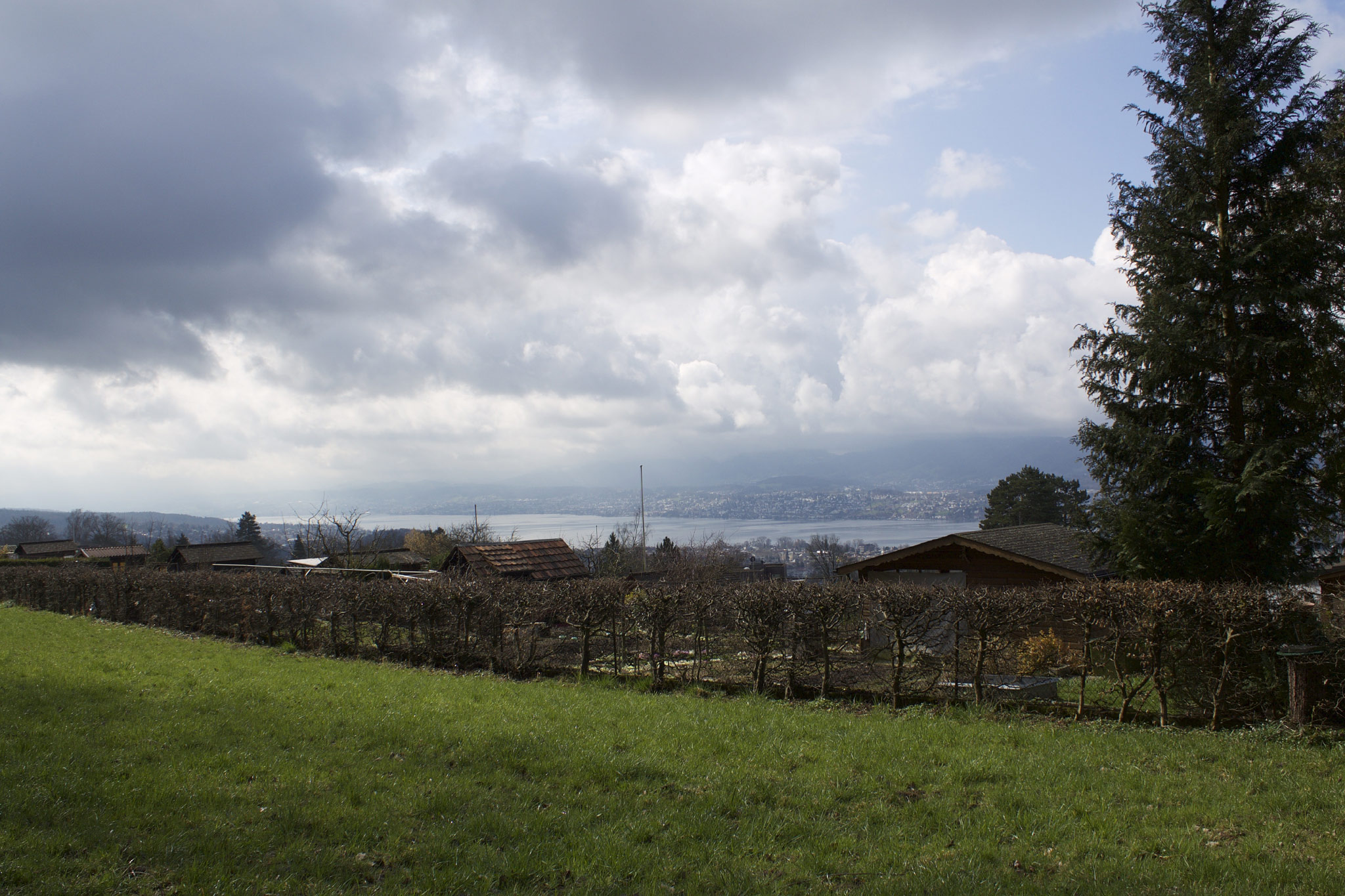 Susenbergstrasse, Zurich